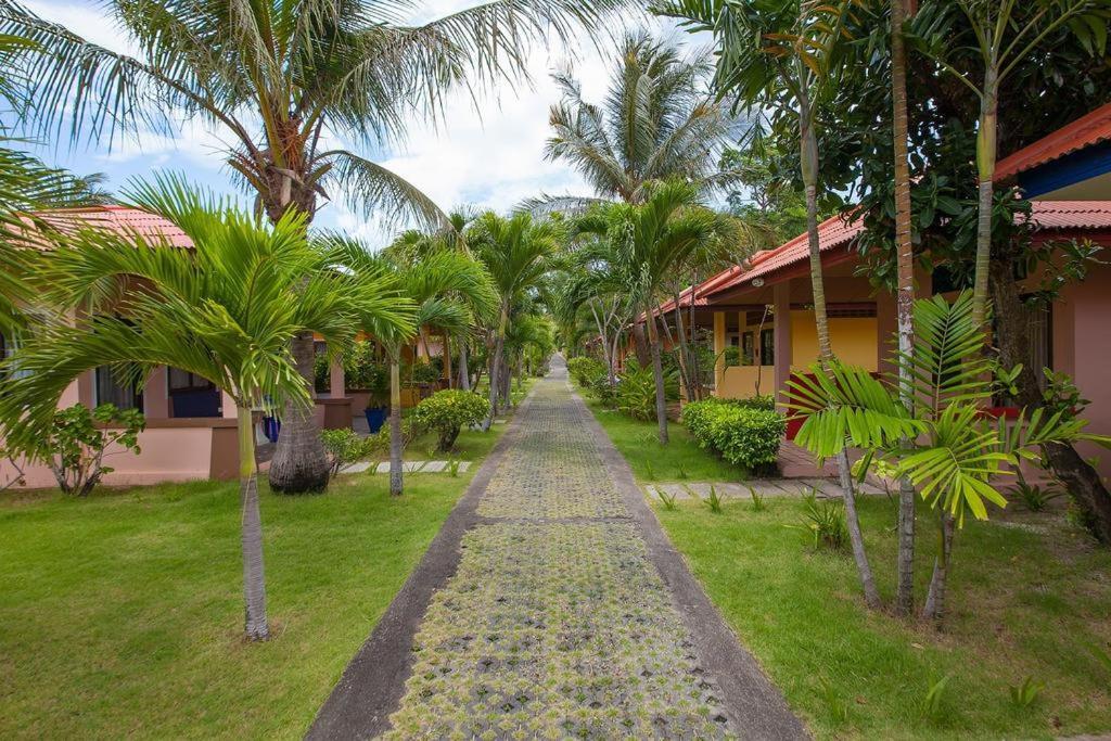 Samui Mermaid Beachfront Bangrak pláž Exteriér fotografie